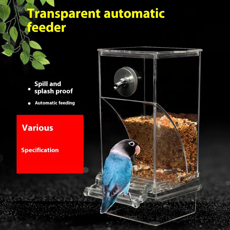 Automatic Plug-in Bird Feeder